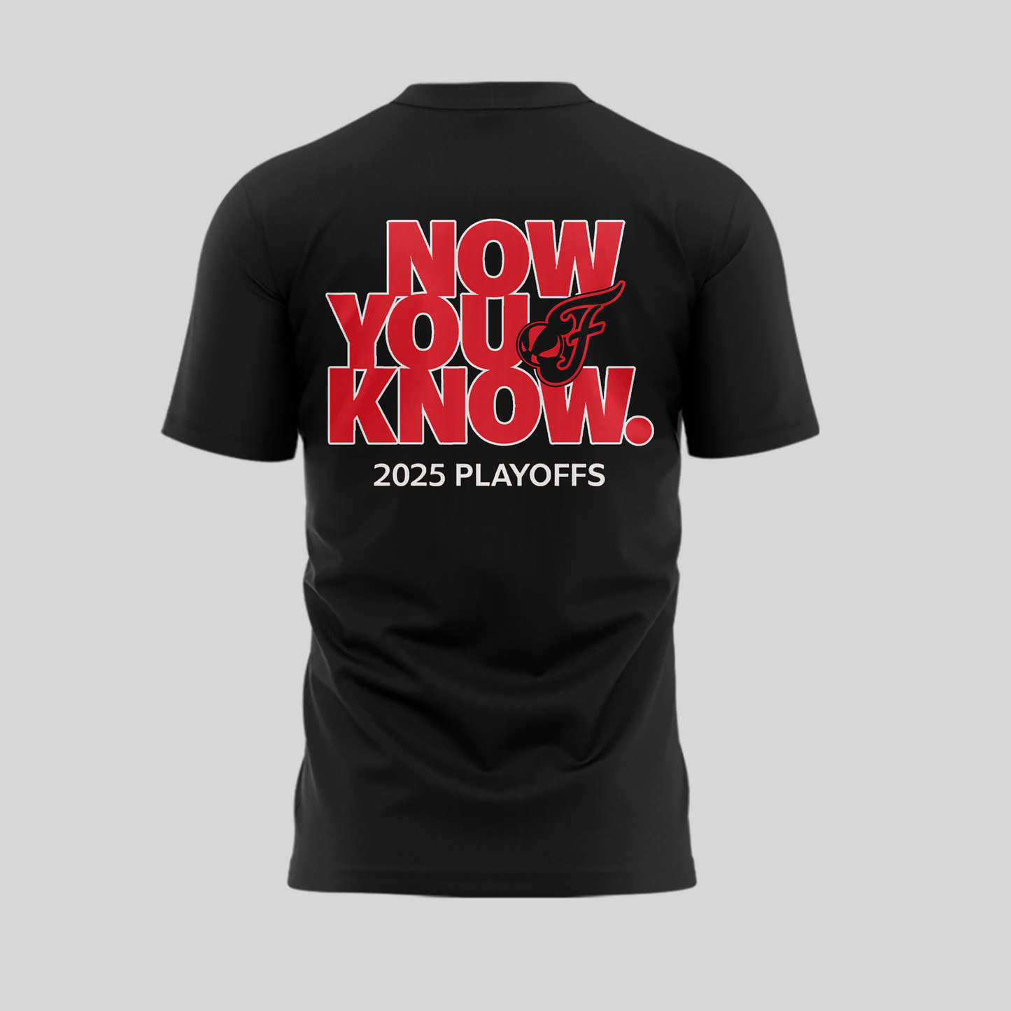 Special New Edition Indiana Fever WNBA Playoff T-Shirt 2025