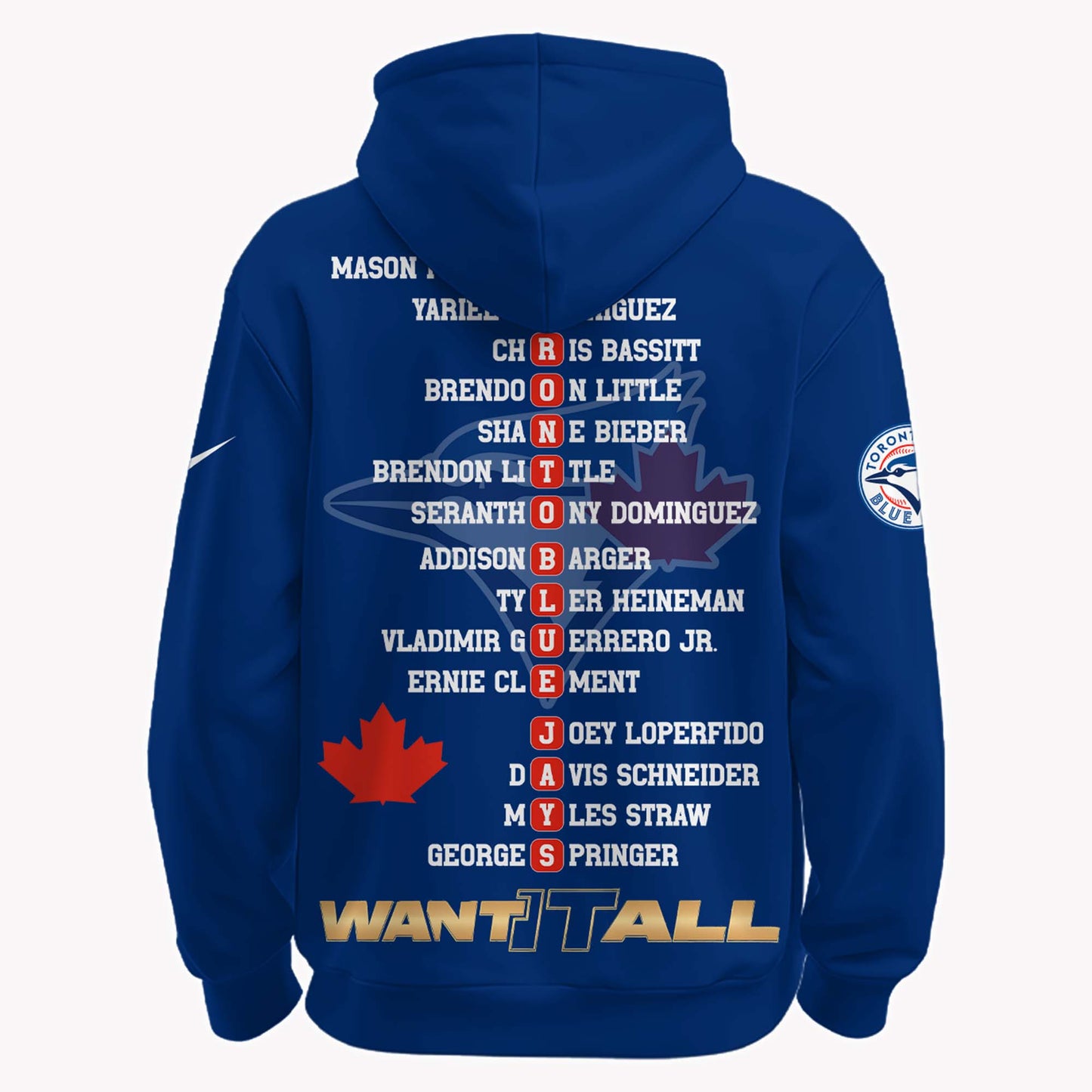 TBJ 2025 American League Champions Hoodie V3