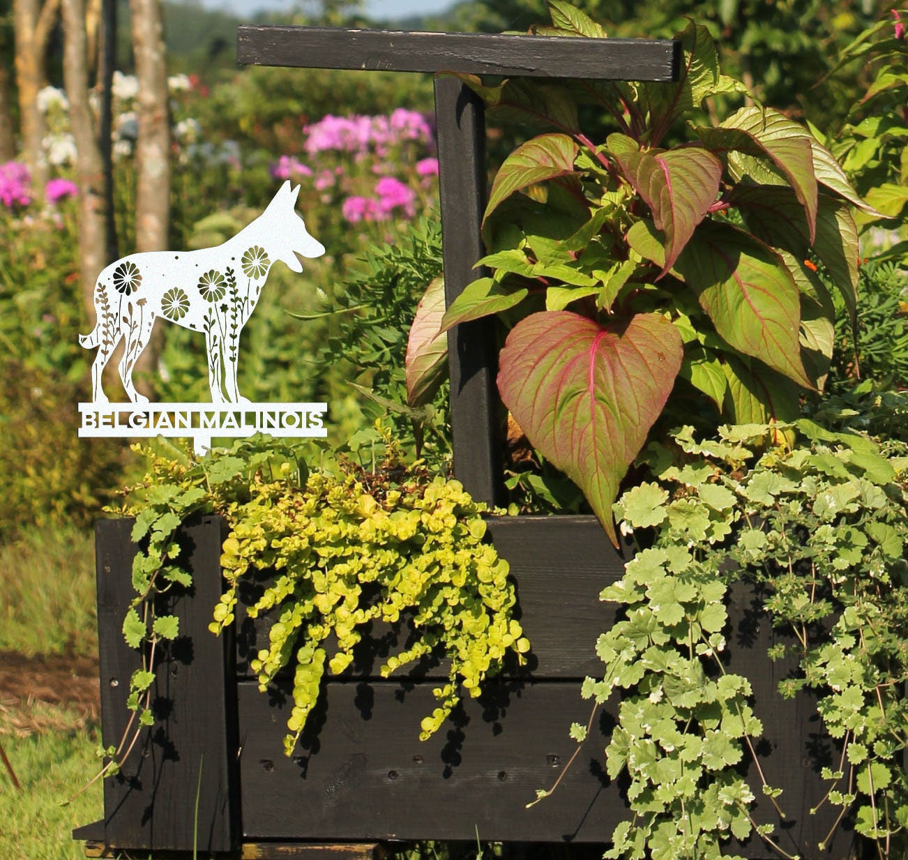 Custom Belgian Malinois Memorial Stake Sign,Pet Grave Markers Sign, Metal Sign With Stake,Pet Loss Gift,Sympathy Sign, Remembrance Stake