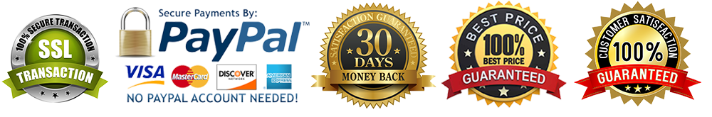 Steelers Gridiron Custom Sneakers 2026